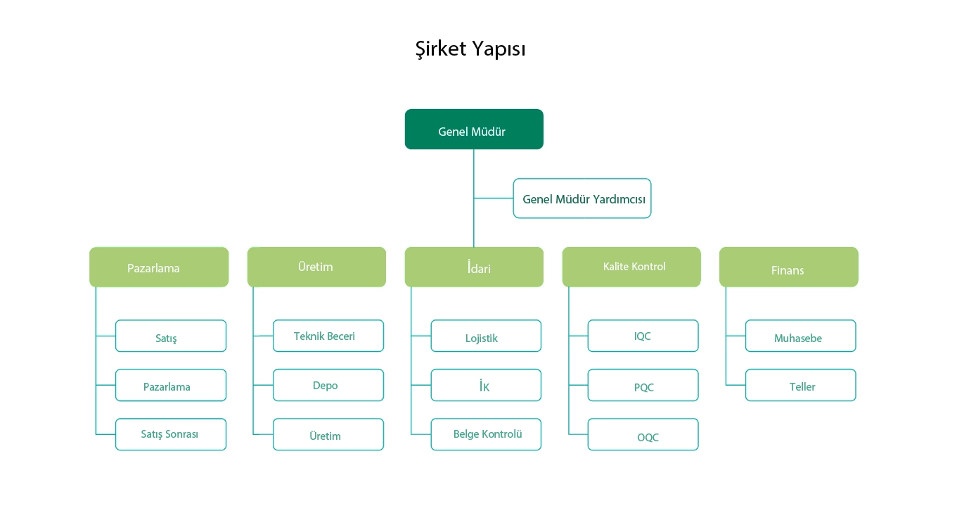 Şirket yapısı